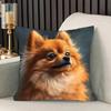 1pc Pomeranian Printed Pillowcase, Size 45*45 Cm, Made of Soft And Smooth Polyester Short Plush Fabric, with a Single-Sided Printed Design, Modern Sty