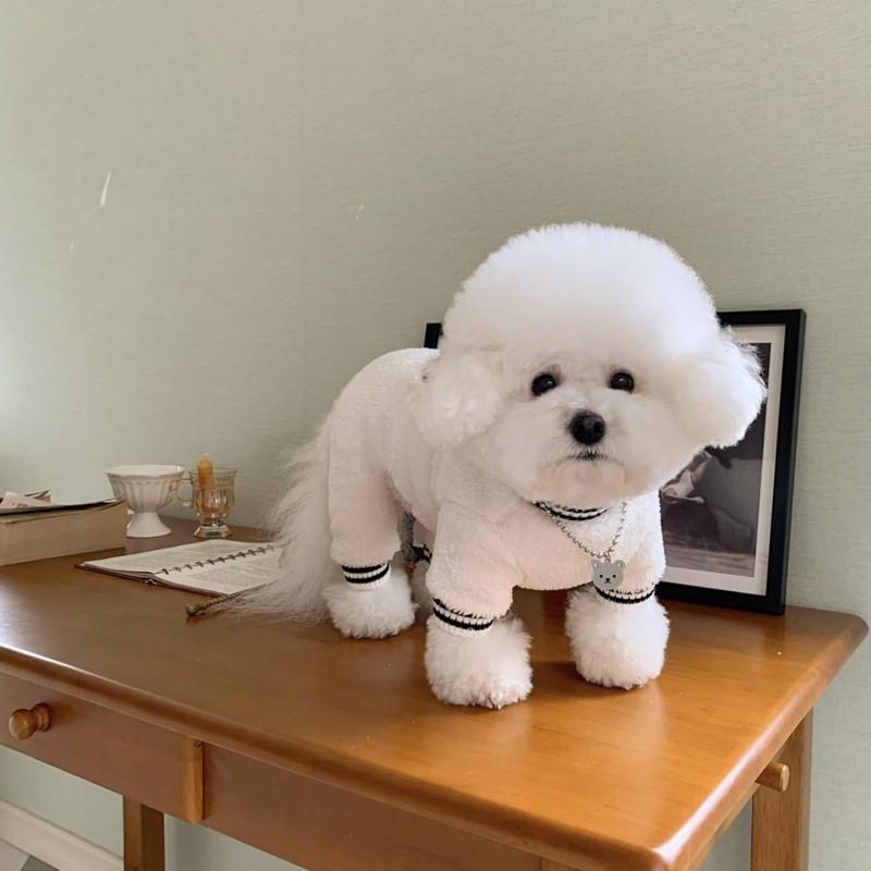 Autumn pet clothes Teddy small dog Yorkshire Pomeranian Poodle Bichon Schnauzer dog autumn and winter clothing