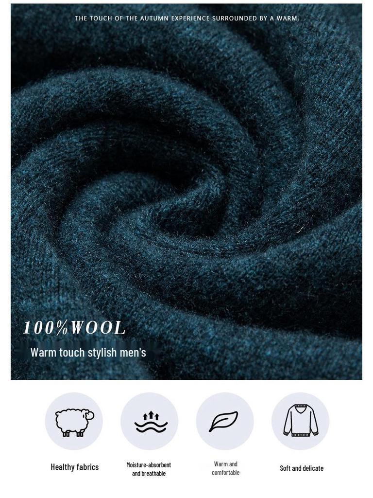 Men's 100% Pure Wool 330g Sweater - 2025 Autumn/Winter Round Neck Solid Color Casual Knit