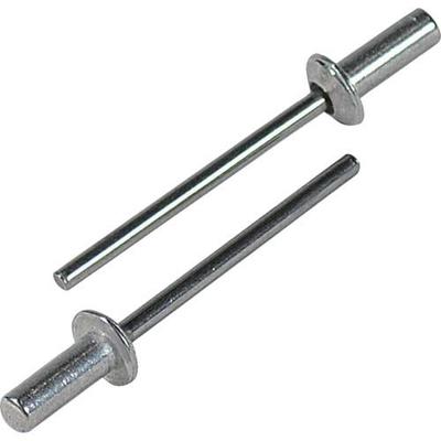 EBI Blindnieten, Schirmtyp (1000 Stück), Aluminium/Stahl 5-3, NSA53C