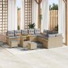 Set of 13 Pieces of Garden Sofas with Beige Cushions Rattan Acacia, 2-Seater Garden Sofa with Storage 3364142
