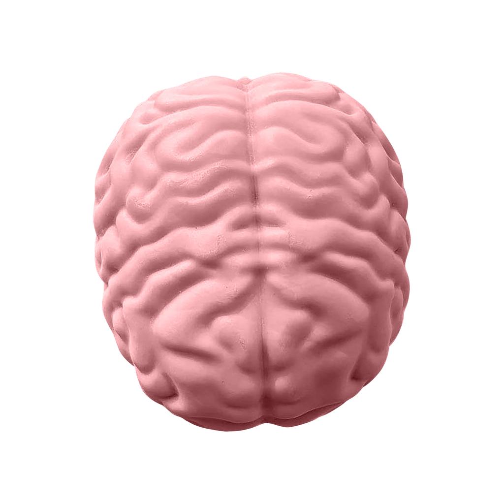 Realistic Brain Stress Ball Squishy Toy Soft Sensory Fidget Squeeze Toy for Stress Relief and Hand Exercise