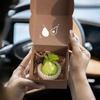 Pear Car Vent Air Freshener & Deodorizer - Adjustable Interior Fragrance Diffuser