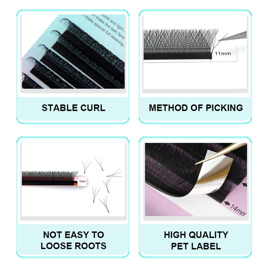 HOLLYLASH YY/W Shaped 2D 3D 4D 5D 6D Hand Woven Automatic Flowering Premade Volume Fans Eyelashes Extensions Individual Lashes
