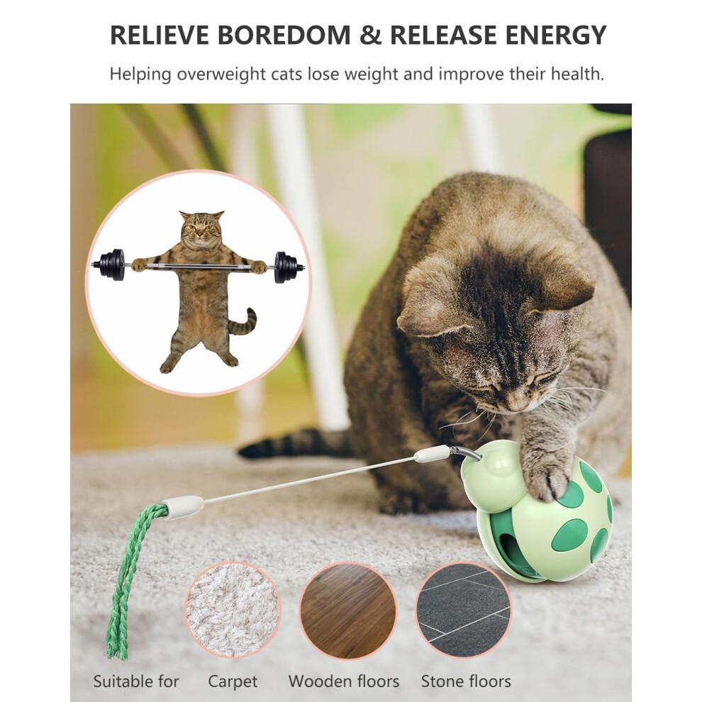 CyunCmay Tumbler Cat Toys, Durable Cat Toys for Indoor Cats Adult, Balance Car Kitten Toys, Interactive Cat Toy with Teaser Wand/Treat Dispenser, Cat
