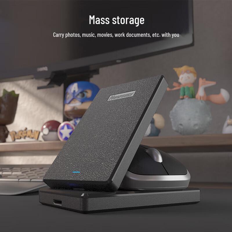 Newsmy 500GB USB 3.0 Tragbare Festplatte