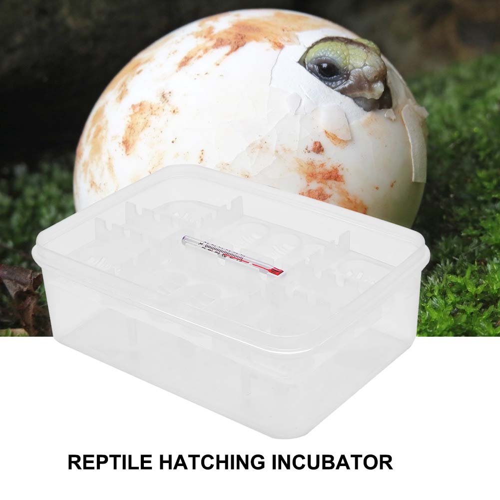 Egg Incubator Box Hatcher Case for Reptiles Lizard Snake Breeding Tools 16 Grids