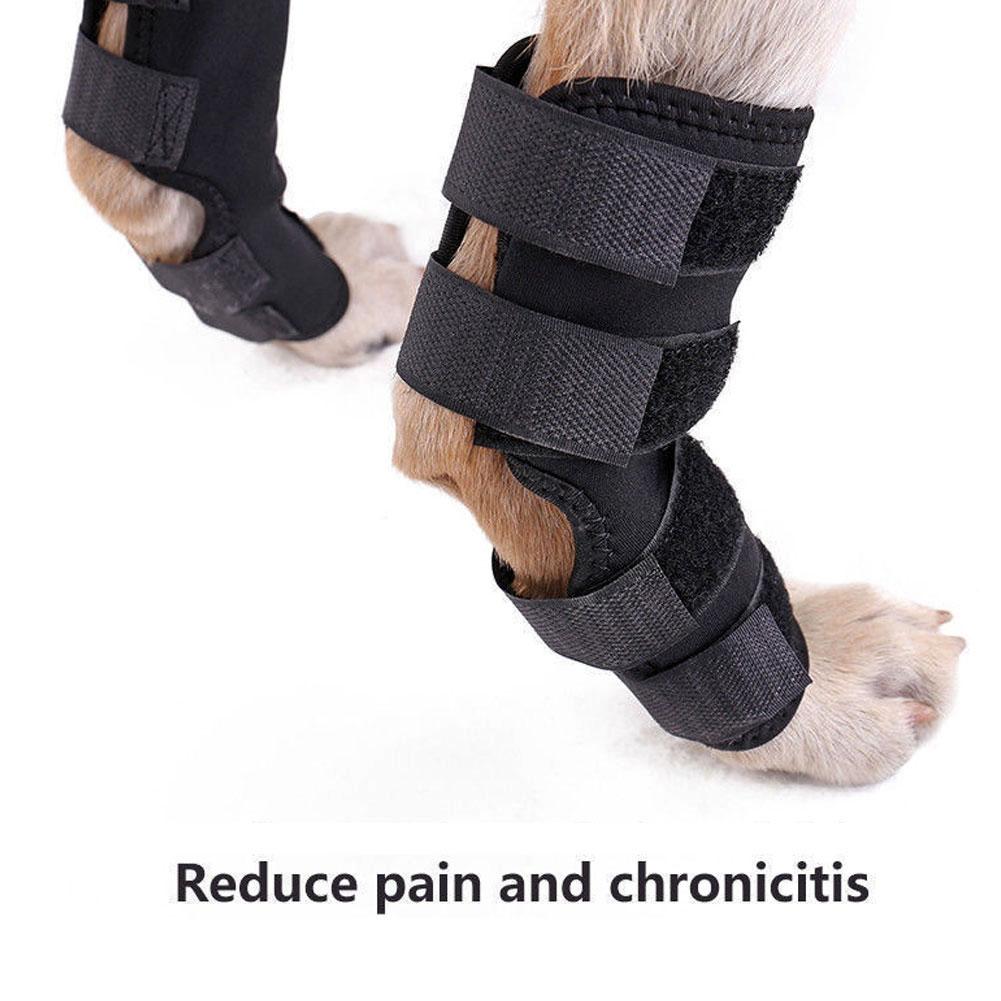 Dog Leg Brace Hock Joint Support Sleeve Prevent Chew Licking Bandage Wrap for Knee Sprains Injury Recovery Protection Pet Supplies