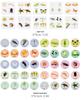 Wooden Educational Puzzle: Life Cycle Changes of Plants & Animals – Toddler Cognitive Growth Toy