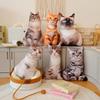 Niedliche lebensechte 3D Katzen Plüschtiere Stofftier Weiche Tierpuppe Simulation Schlafkissen Sofakissen Zeichentrickpuppe Heimdekor Geschenk