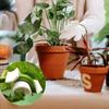 20-100PCS Plant Clamp Bending Device Flower Vine Branches Plant Stem Training Clips Plant Growth Bender Control Support Clamps