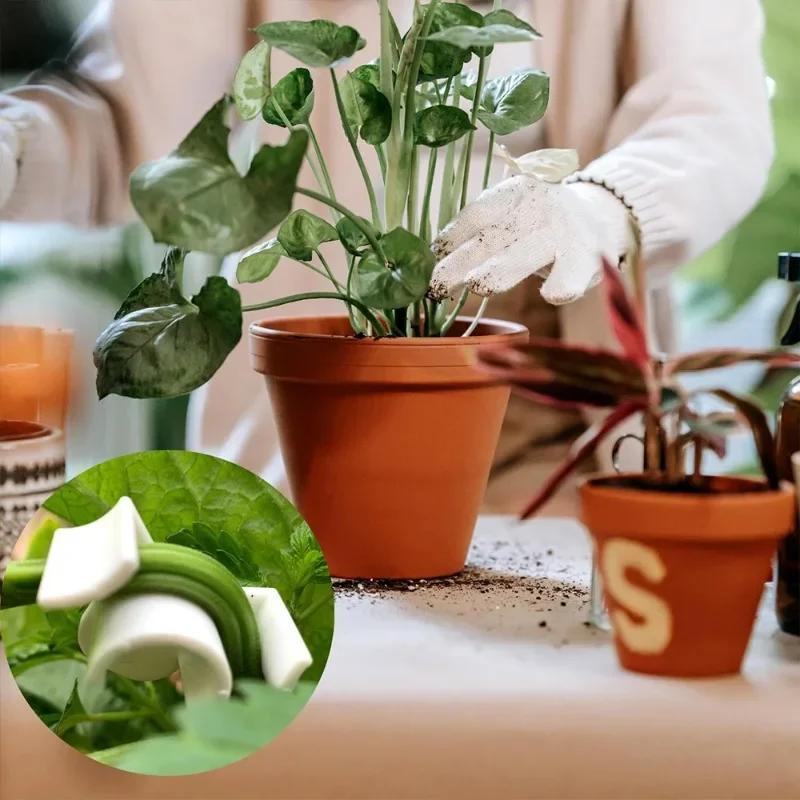20-100PCS Plant Clamp Bending Device Flower Vine Branches Plant Stem Training Clips Plant Growth Bender Control Support Clamps