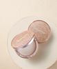 [makeup Helper] Art Pact Original Pro Finish Powder & Rose Glitter Brush Set 25g