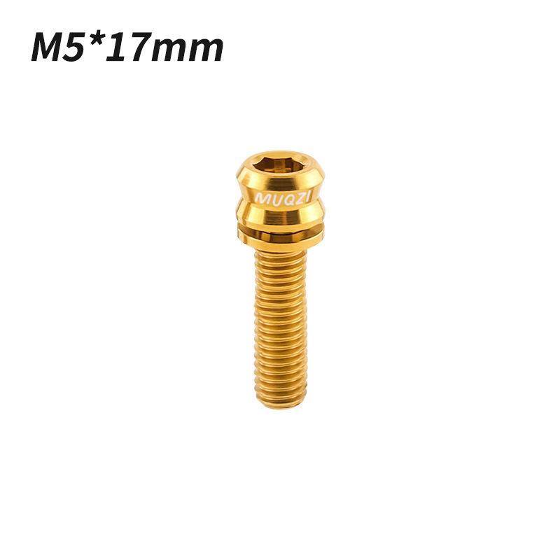 1/2Pcs Titanium Bolt M5X17Mm M5X19Mm Bicycle Nut Titanium Alloy Stem Bolts Road Folding Bike Screw Accessories
