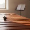 Bateria e instrumentos de percussão – Baquetas