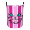 Trendy Funny Cheshires Cat Laundry Basket Collapsible We're All Mad Here Clothes Toy Hamper Storage Bin for Kids Nursery