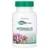 Nature's Plus Herb Active Astragalus 450mg Veggie Capsules, 60 Count