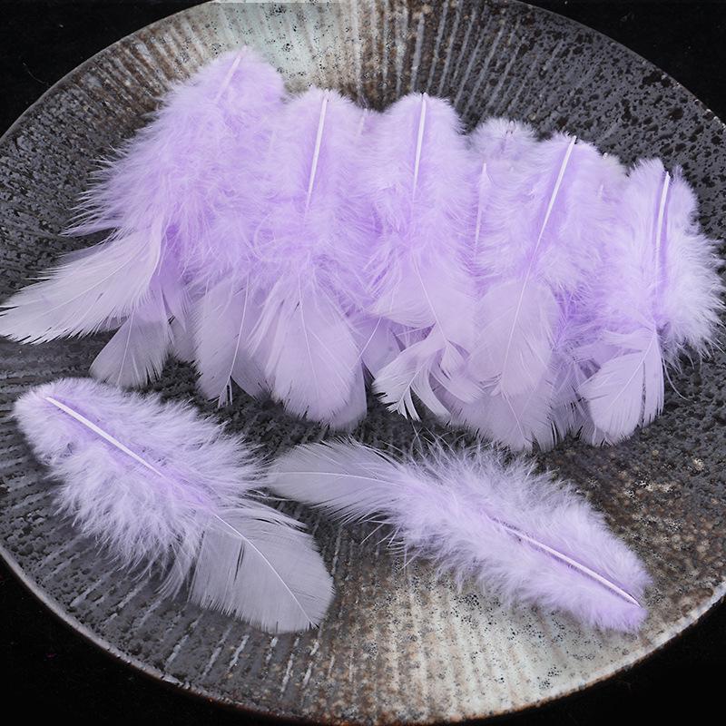 Mixed Color Chicken & Peacock Feathers for DIY Ornaments, Handicrafts, and Handmade Clothing Accessories.