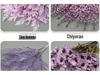 10-Piece Purple Floral Artificial Flower Set for Wedding and Aisle Decor