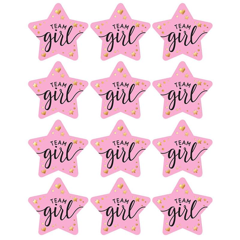 60/120pcs Team Boy Team Girl Stickers Boy or Girl Sticker for Gender Reveal Party Decoration Baby Shower Supplies Gift Box Label