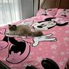 Minnie Mickey Bedding Set Duvet Cover Movie Character Bed Set Soft Microfiber Cover for Kids Teens Home