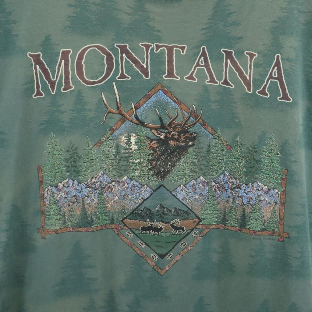 PRAIRIE MOUNTAIN 90s Made in USA Old Print Short sleeve T-shirt Men's Used