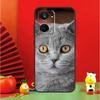 British Shorthair Cat For Realme 15 Pro GT7 GT6 10 11 12 13 14 Pro Plus C67 C63 C61 C55 C51 C53 C35 C75 C65 Case