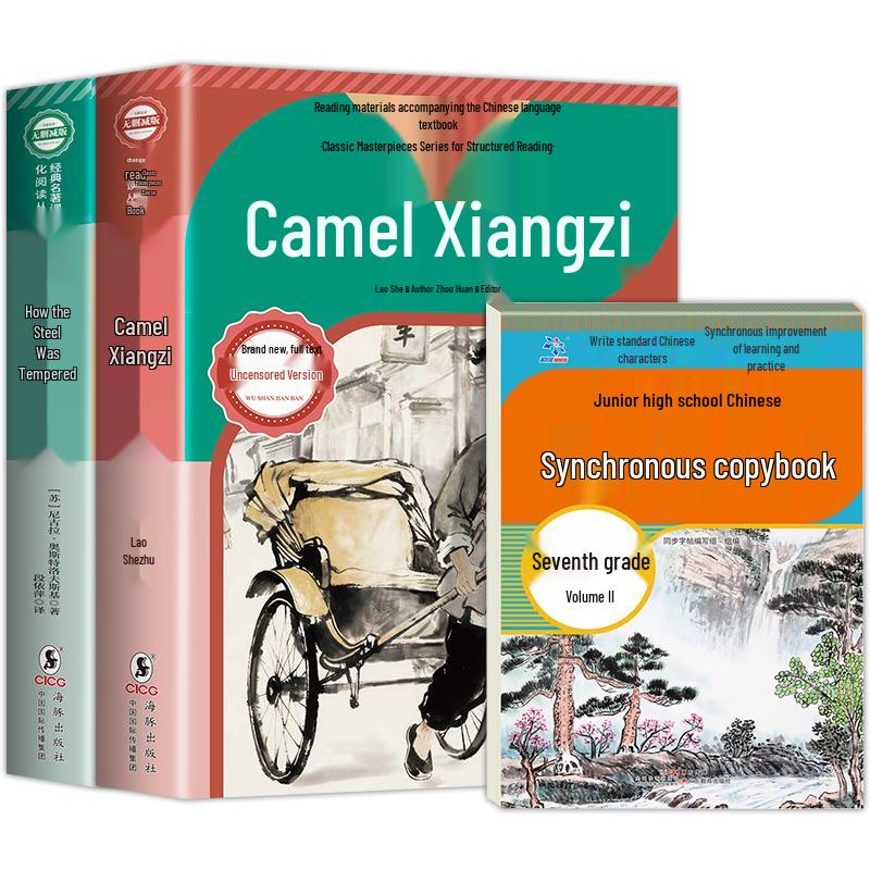Rickshaw Boy & How the Steel Was Tempered 7th Grade Study Set