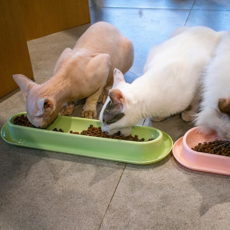Cat Dog Food Water Bowls 15 Degree Tilted Single Dish Long Pet Feeding Bowl for Kitten Puppy Safe Plastic Material Easy To Clean
