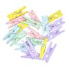 Mini pinces à linge - Bois - Couleurs pastel - Décoration - 2,5 cm de longueur