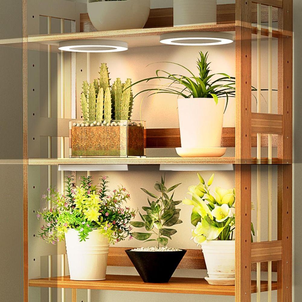 10 Dimming Levels Hanging LED Plant Light 1/2/3/4 Head Ceiling Grow Light  Small Plants