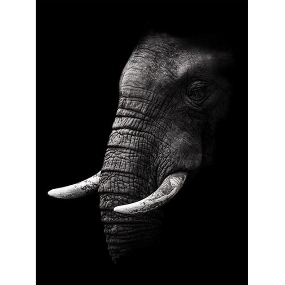 5D Round Diamond Painting "animal" Lion Tiger Diamond Embroidery Cross Stitch Kit Rhinestone Mosaic Picture DIY Decoration Gift