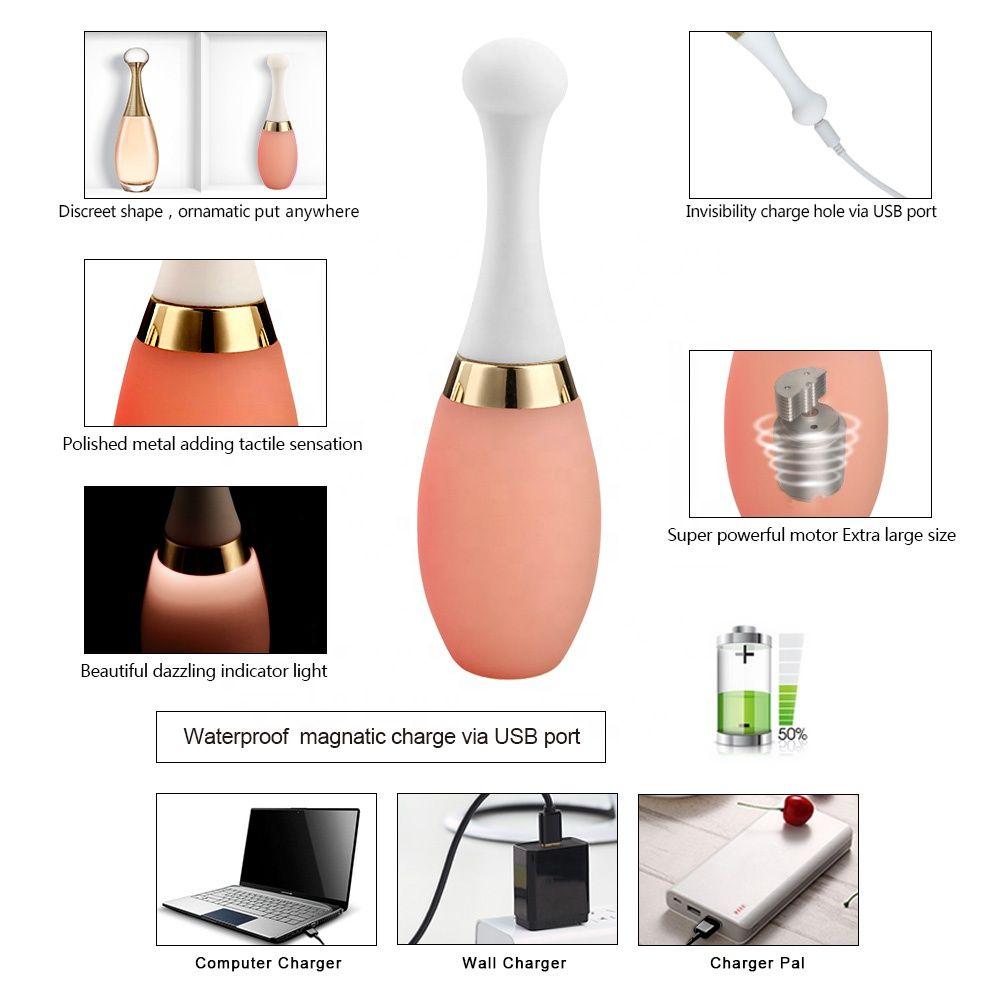 Charme Mini USB Charging Pocket Vibrator