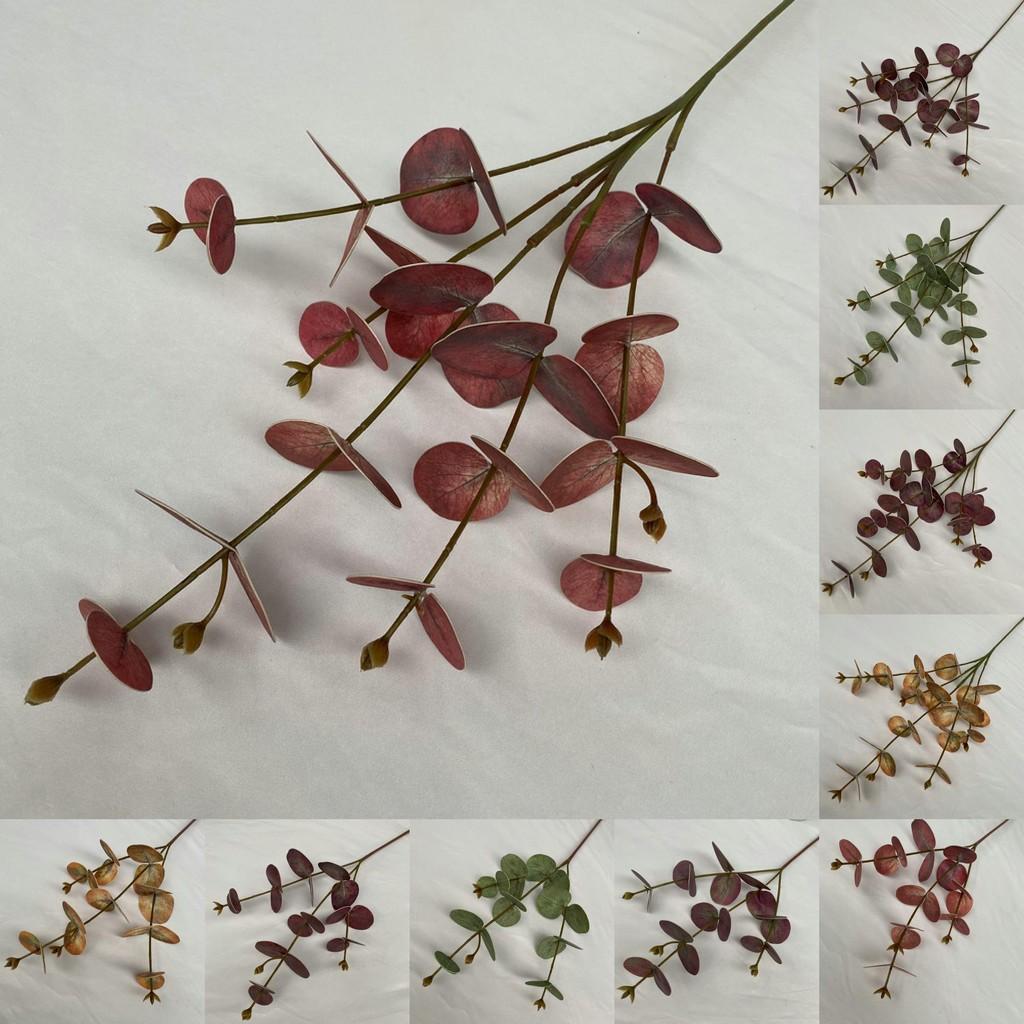 Peníze Eukalyptové Listy Stonky Pro Vnitřní Venkovní Svatba Dárek Dekorace