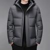 Short Down Jacket Men's Winter New Men's Hooded Jacket Versatile Solid Color Lapel Loose Warm Casual Men's Clothing