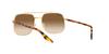 Sonnenbrille RB3699 ARISTA 56 [Ray-Ban] 001/51