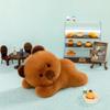 Cute Dog Koala Capybara Plush Doll With Pp Cotton Filling For Kids And Adults