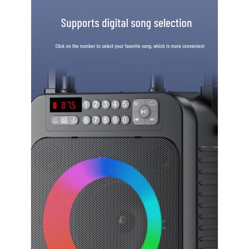Newmine K522 Portable Bluetooth KTV Speaker with Dual Microphones CN Plug (adapter Included)