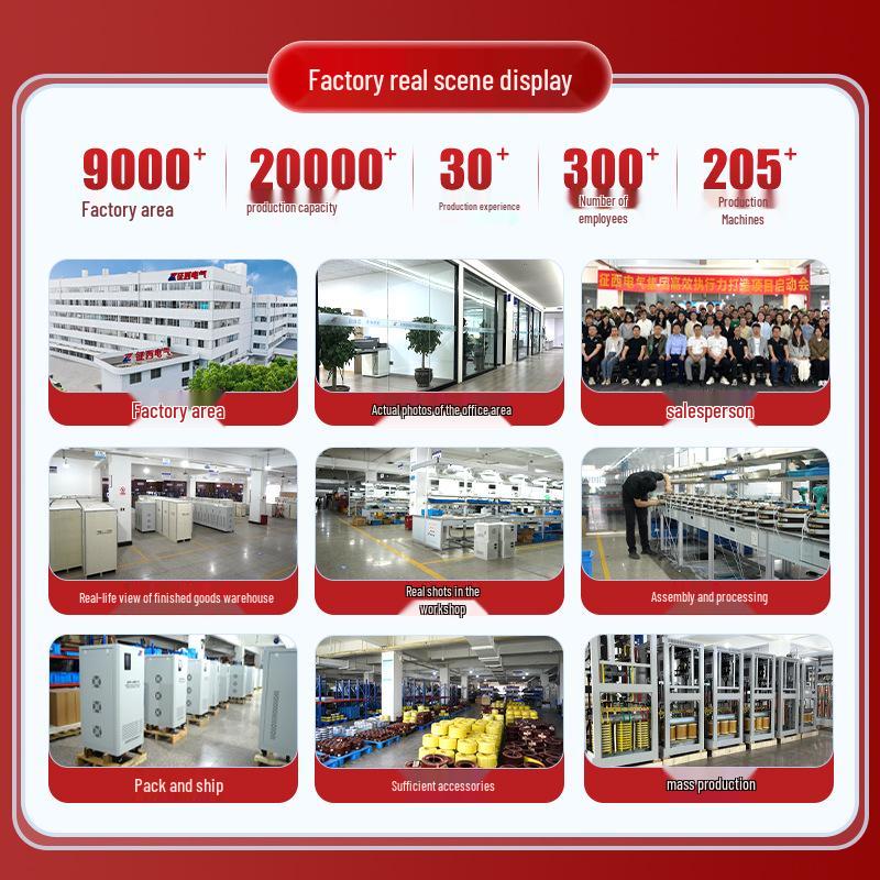 Zhengxi 110-220V Step-up/Step-down Voltage Converter