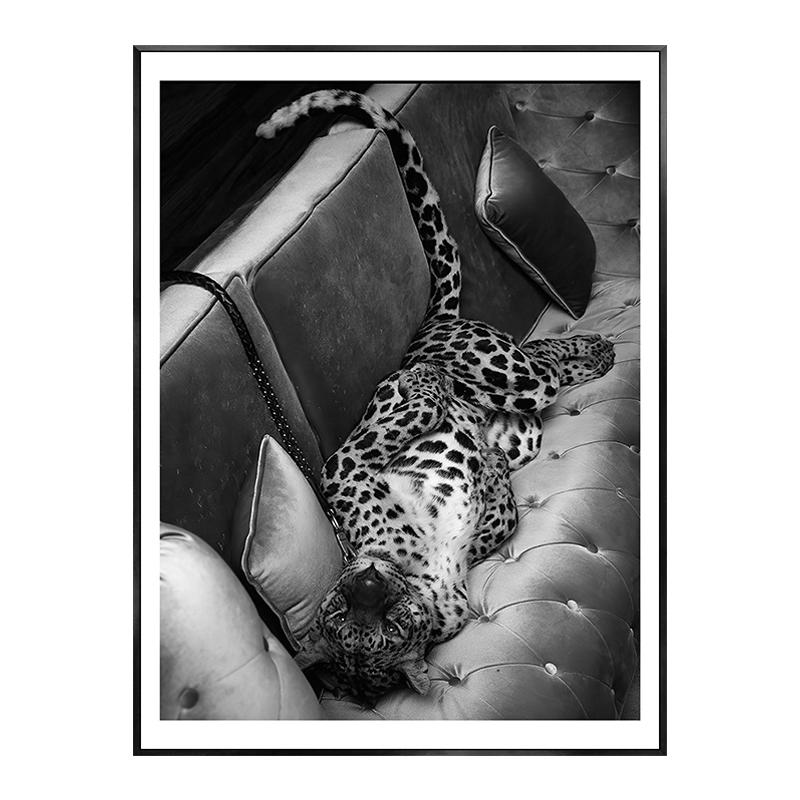 

Модный сексуальный женский леопардовый постер, холст, картина, настенная живопись, винтажная черно-белая фотография, картина, современная гостиная, домашний декор 21x30cm No Framed