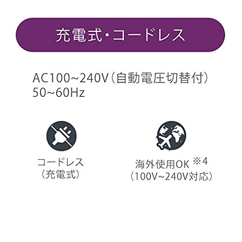 Ebisu Cosmetics (EBiS) Ultrasonic Facial Beauty Device Twin Elenaizer Premium Home Beauty Set