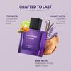 Park Avenue Euphoria, Eau De Parfum Men, 100ml | Long Lasting Perfume for Men | Premium Luxury Fragrance Scent |