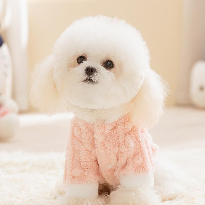 Series Dog Clothes Small Dog Autumn and Winter Warm Two-legged Cat Pet Clothing