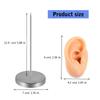 Silicone Ear Model for Piercing Practice and Jewelry Display Realistic Left and Right Human Ear Simulation Ears Replicas