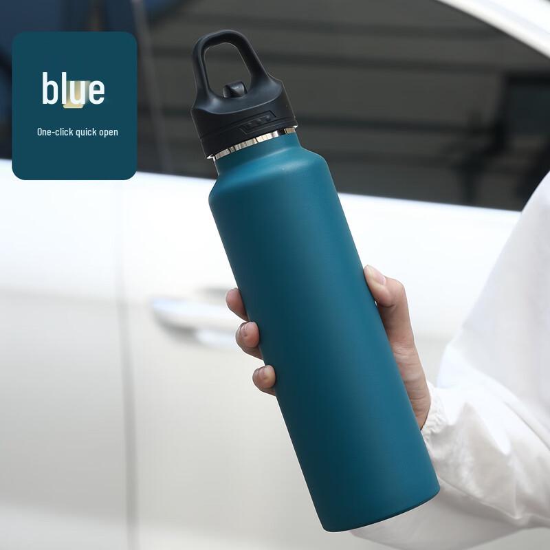 Tingle 316 Stainless Steel Insulated Water Bottle with One-Touch Lid