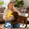 Quietschende Hundespielzeuge Quietschend Interaktiv Weich Komfort Zahnungsbedarf Hundezahnungsspielzeug Für Reisen Strand Pool Park Garten Schlafzimmer