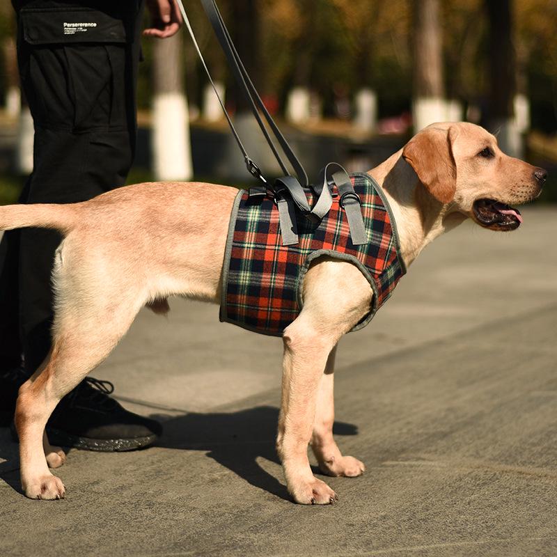 Pet Postoperative & Senior Dog Leg Support Brace