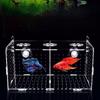 Fishes Fish Isolation Fish Tank Incubator Fish Breeding Box Incubator Fish Separation Box Hatchery