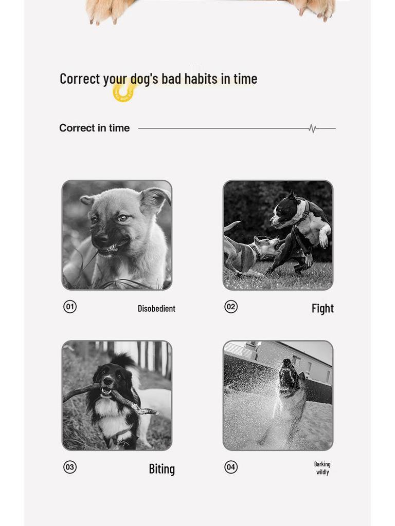 Remote Anti-Bark Electric Dog Training Collar for Large and Small Dogs