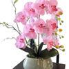 Flori Artificiale Phalaenopsis în Vas Ceramic - Ideal pentru Decorarea Sufrageriei sau a Mesei de Dining